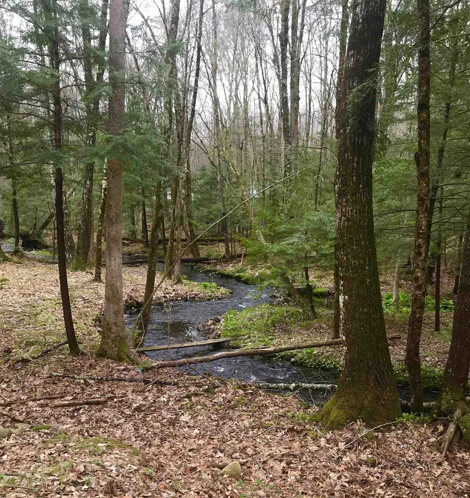14 Caldwell Lane Barrington NH 03825