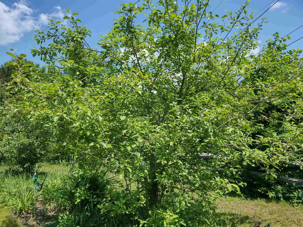 49 East Randolph Road Chelsea VT 05038