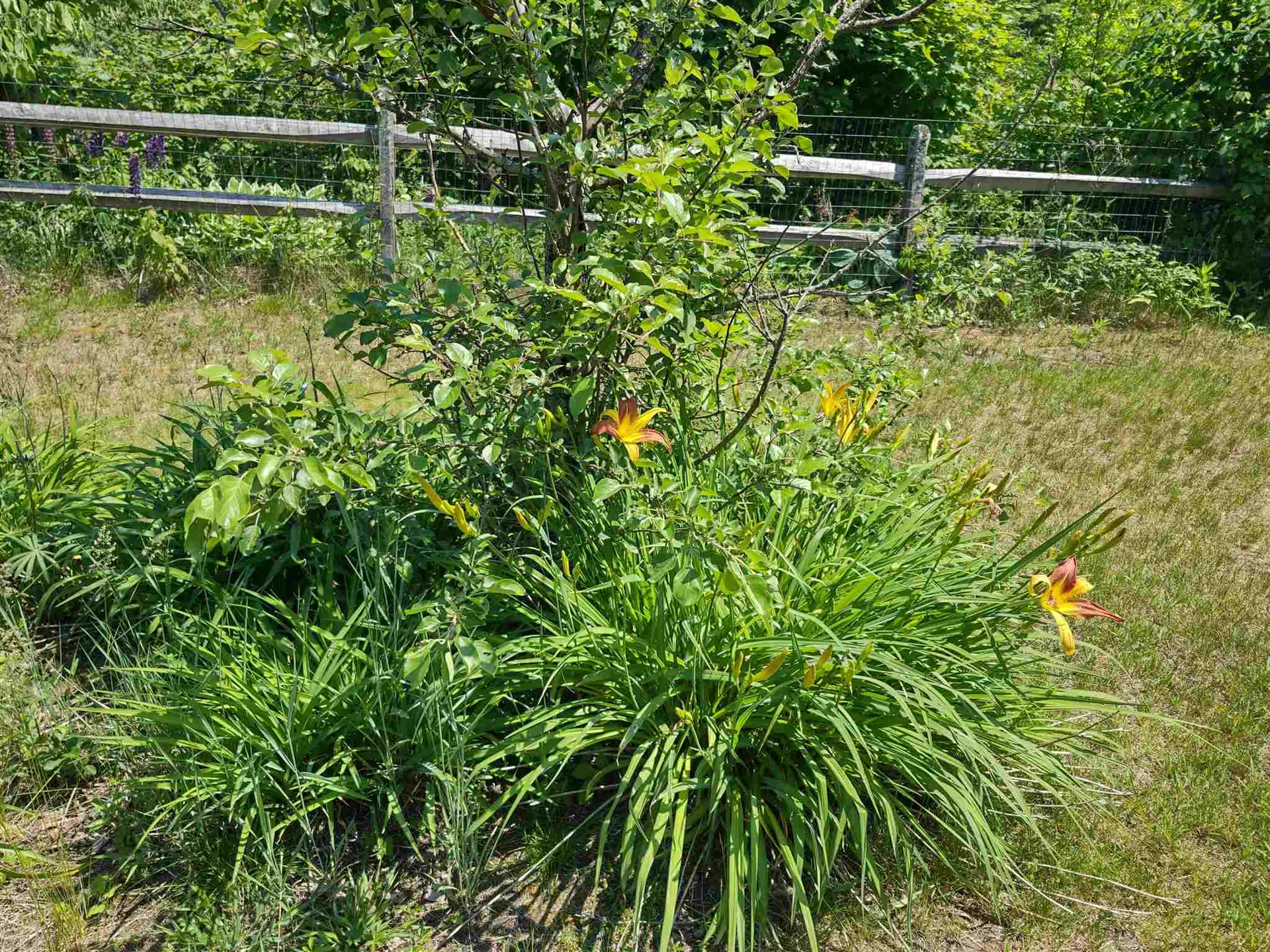 49 East Randolph Road Chelsea VT 05038