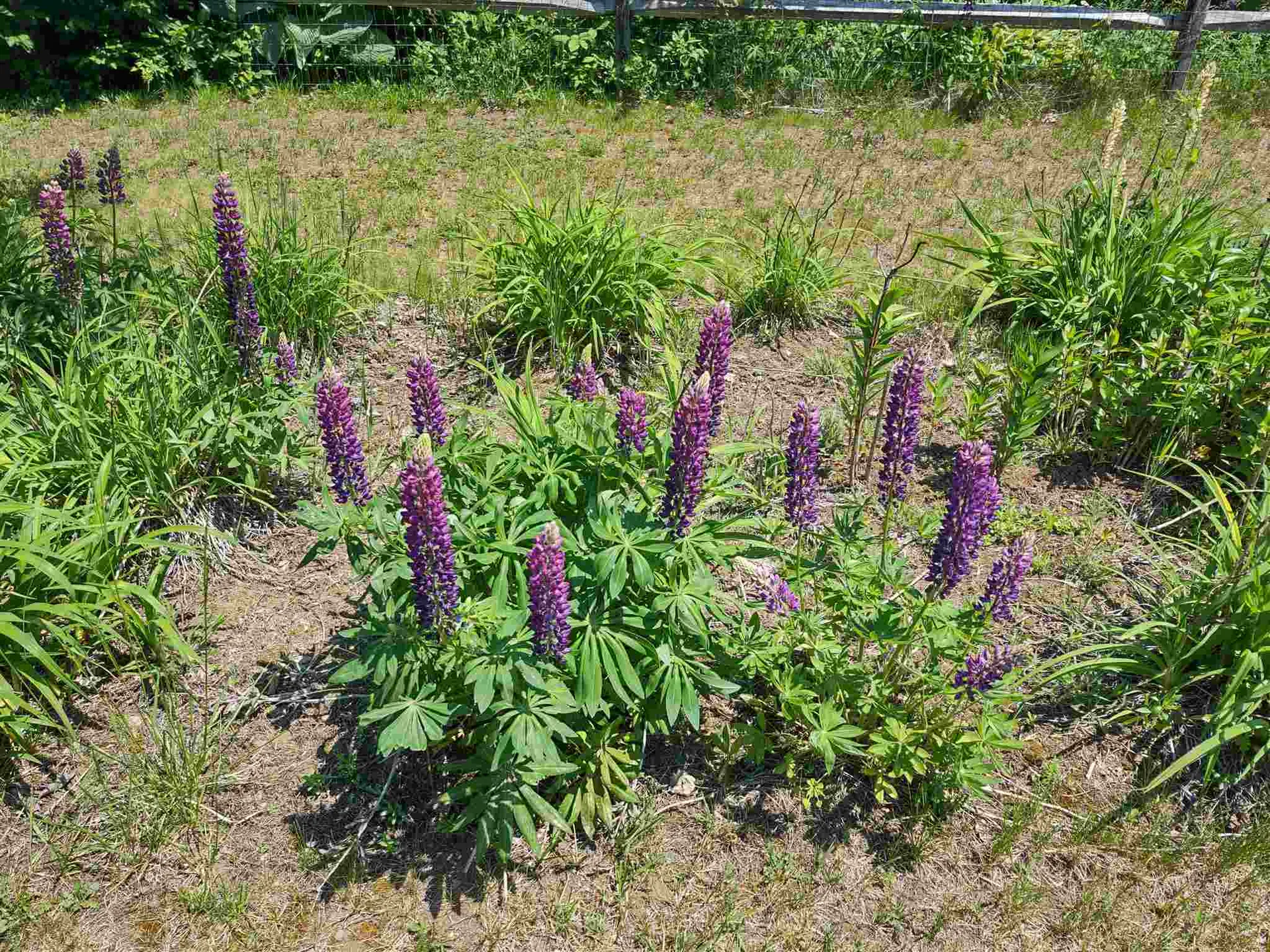49 East Randolph Road Chelsea VT 05038