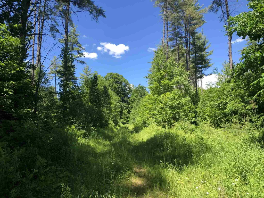 0 Jackson Brook Road Thetford VT 05075