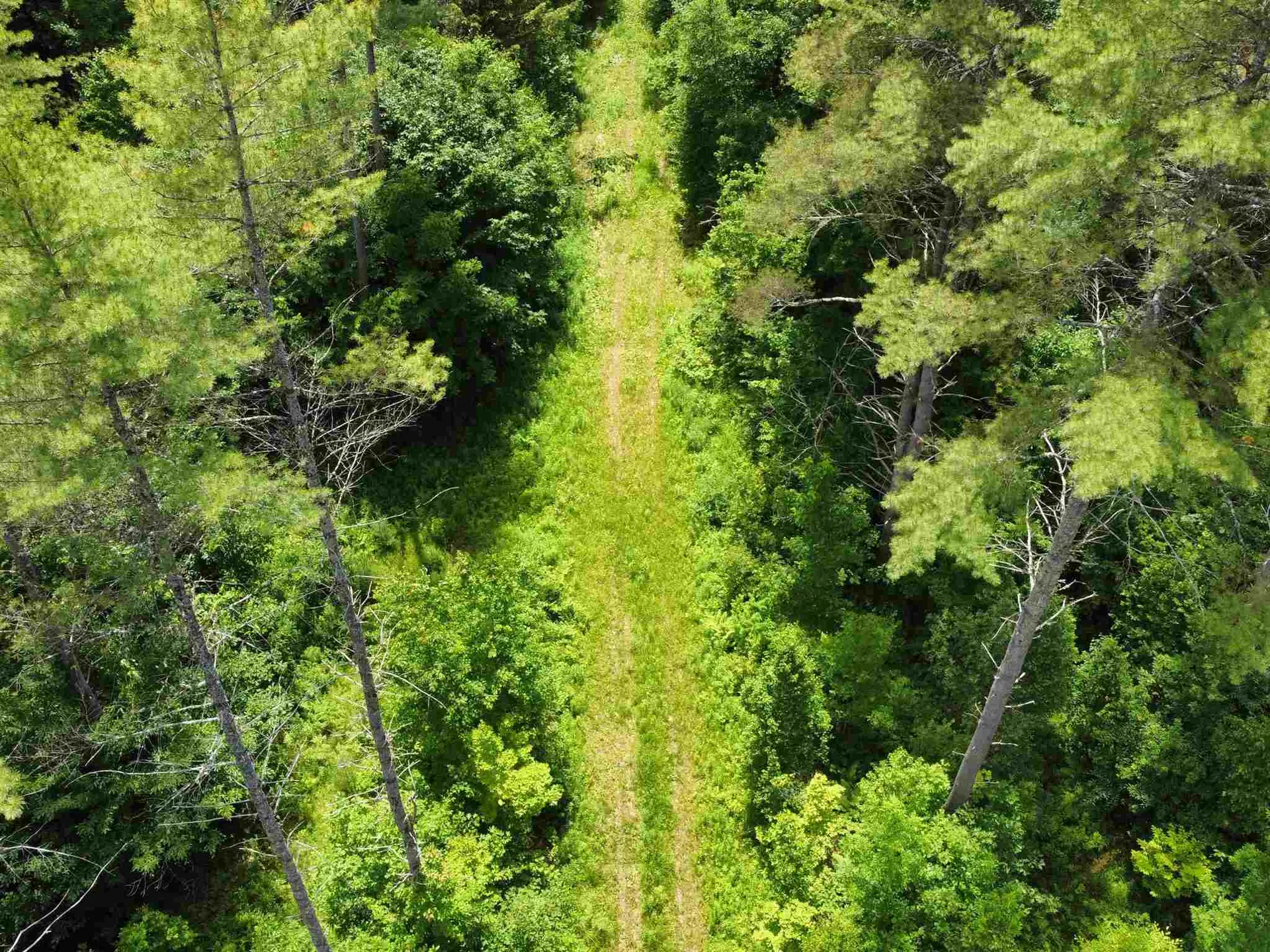 0 Jackson Brook Road Thetford VT 05075