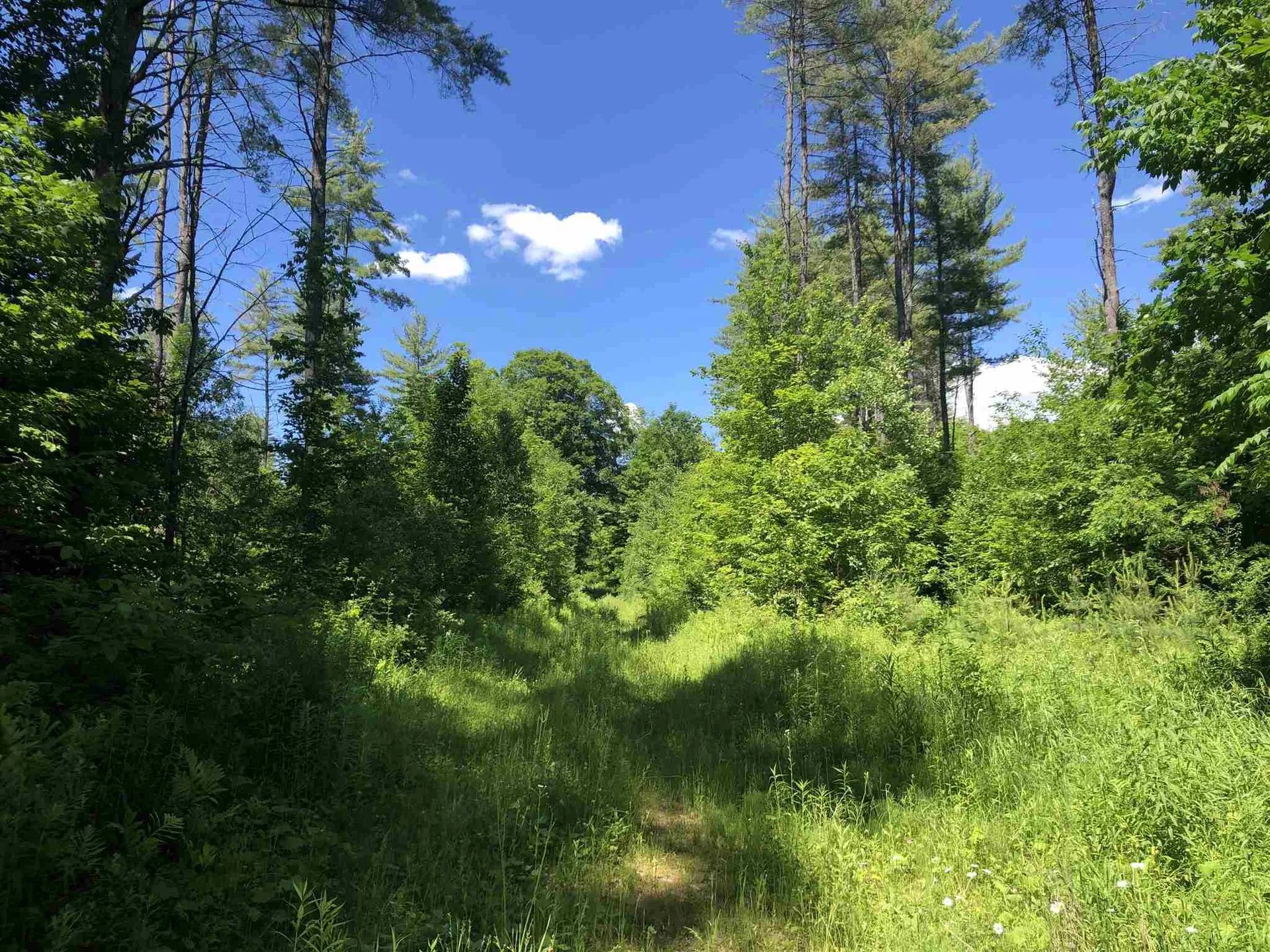 0 Jackson Brook Road Thetford VT 05075