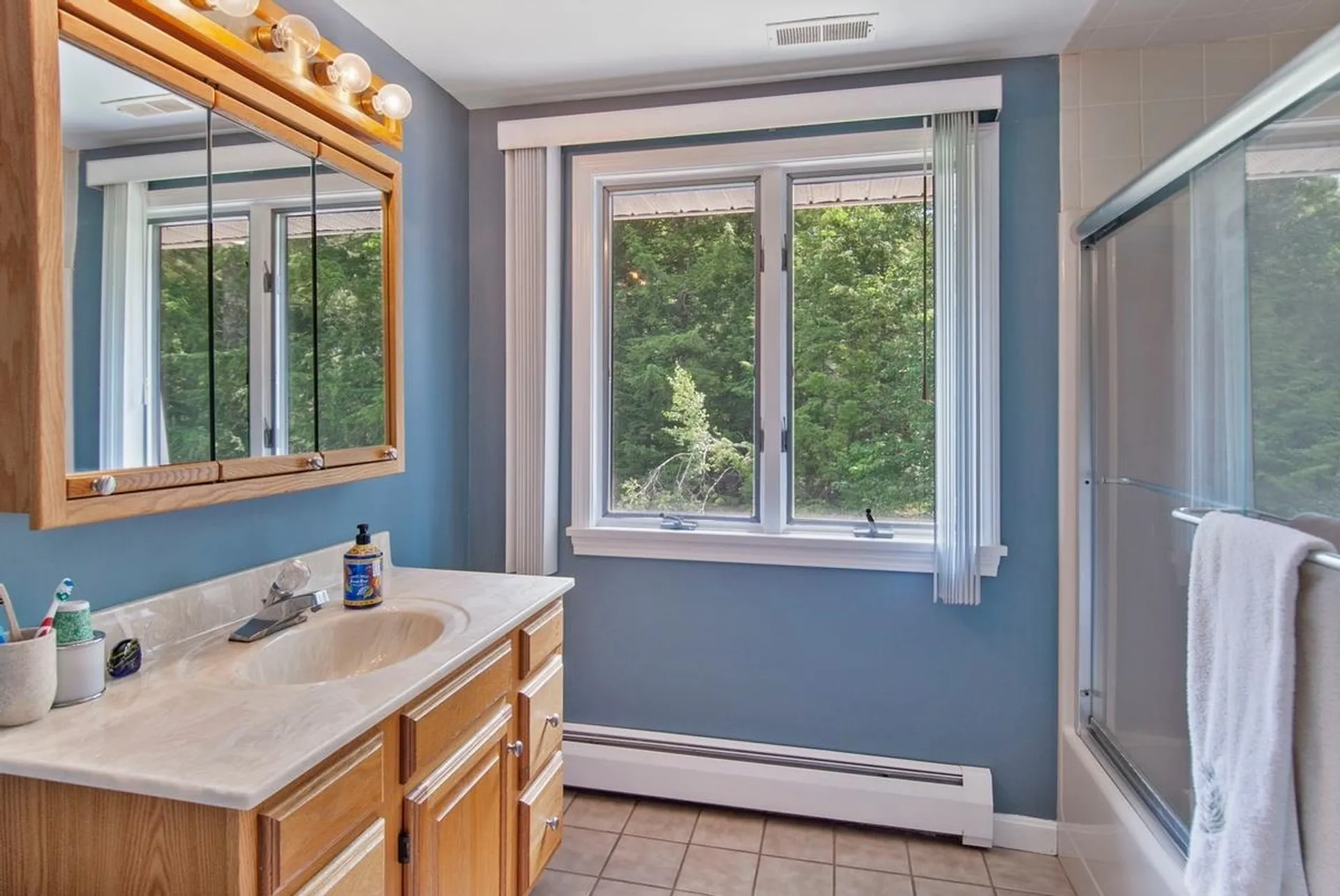16 Blackbird Lane Moultonborough NH 03254