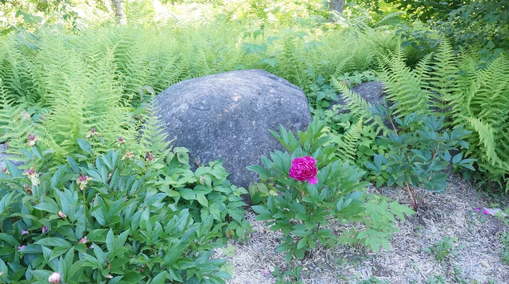 287 Old Hillsboro Road Henniker NH 03242