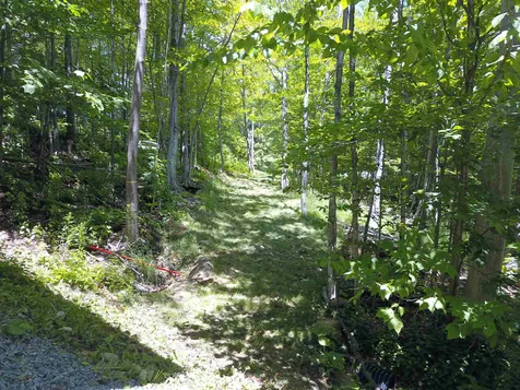 576 Trailside Road Ludlow VT 05149