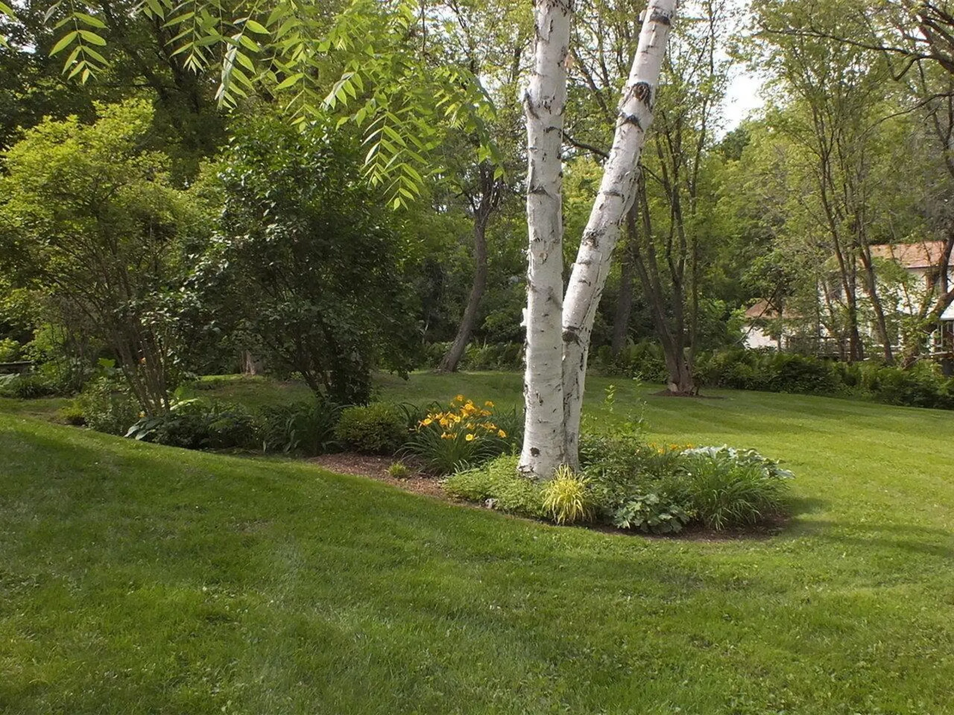 57 Maple Road Williston VT 05495