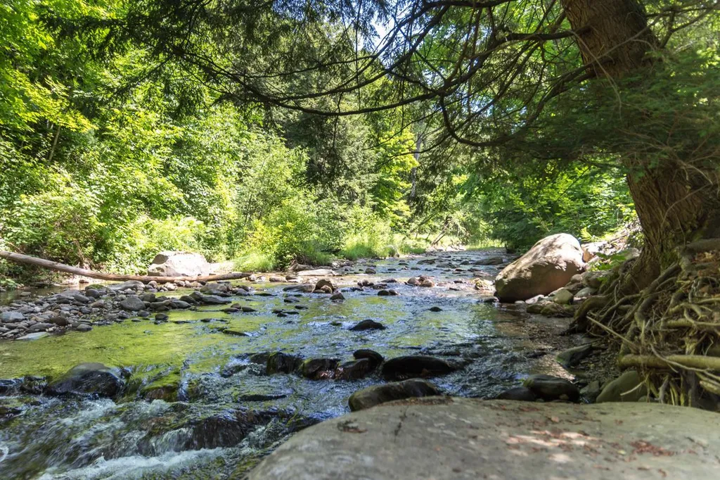 235 Lee River Road Jericho VT 05465
