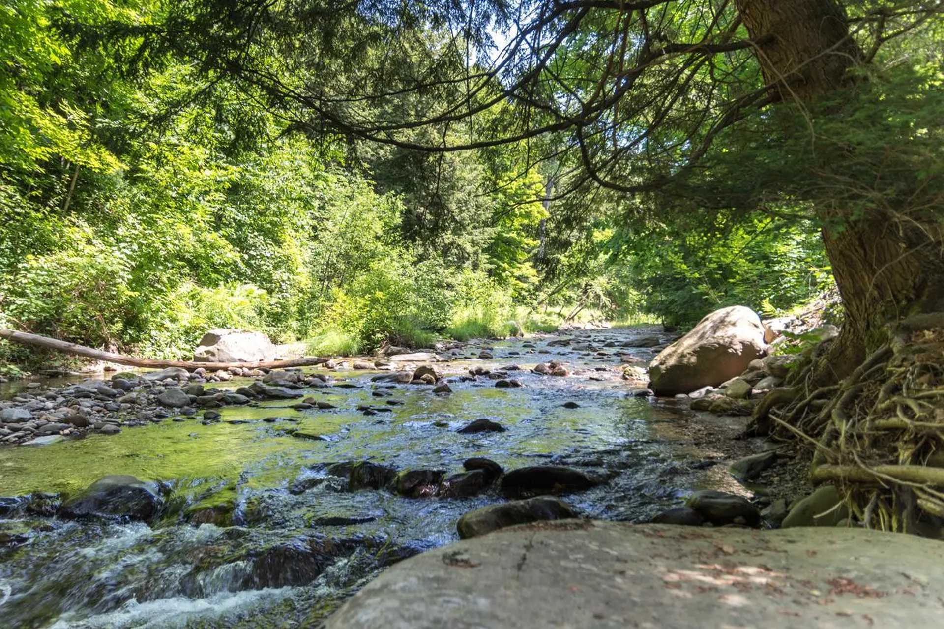 235 Lee River Road Jericho VT 05465