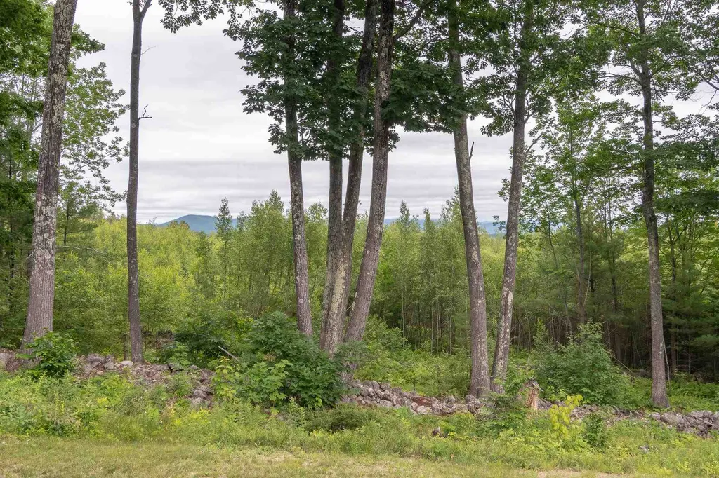 447 Coxboro Road Holderness NH 03245