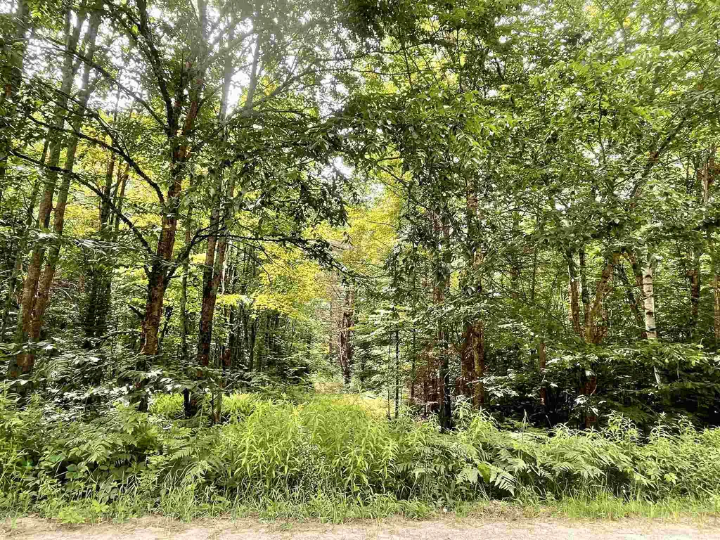 77 Berkshire Road Lisbon NH 03585