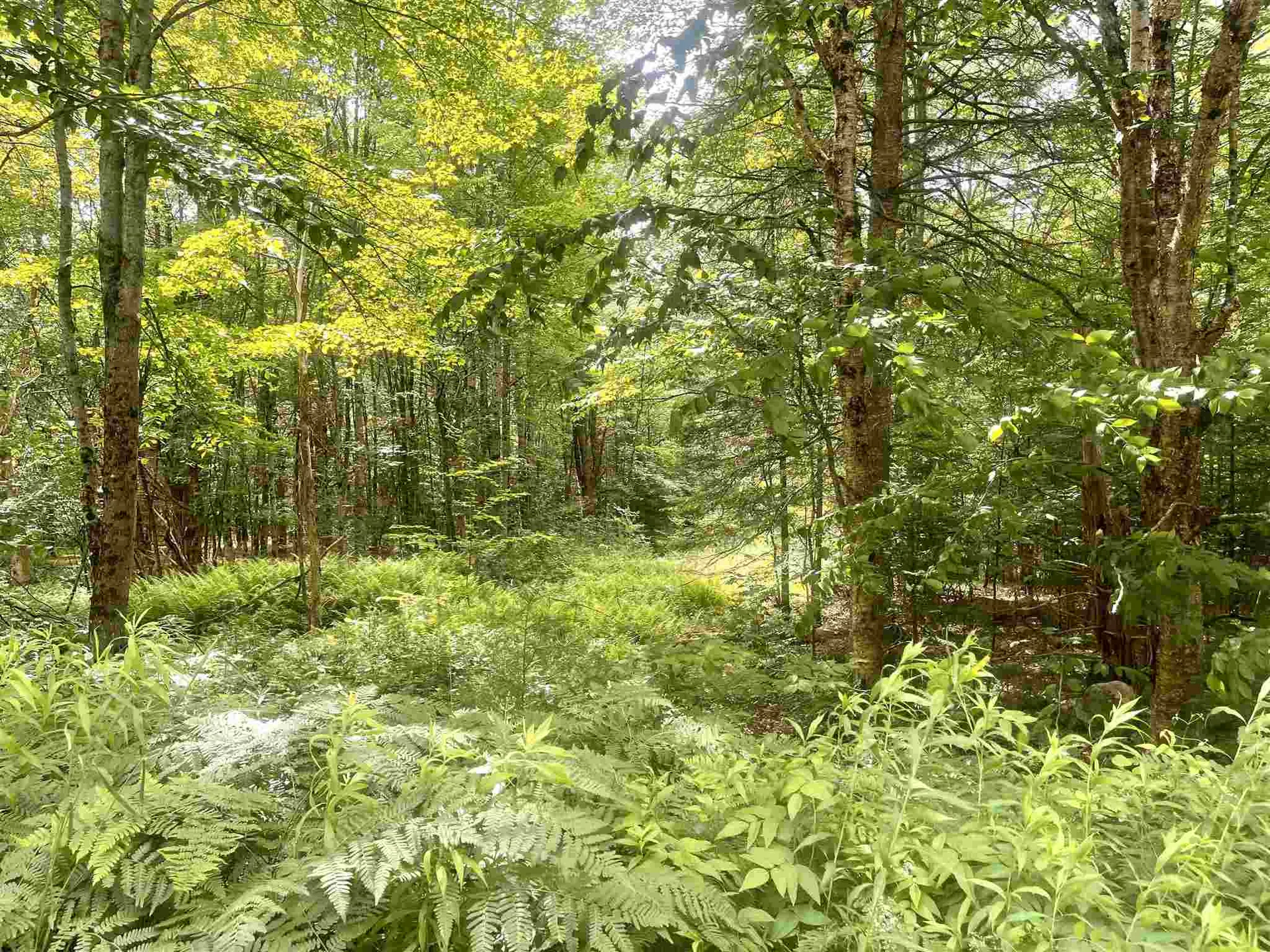 77 Berkshire Road Lisbon NH 03585