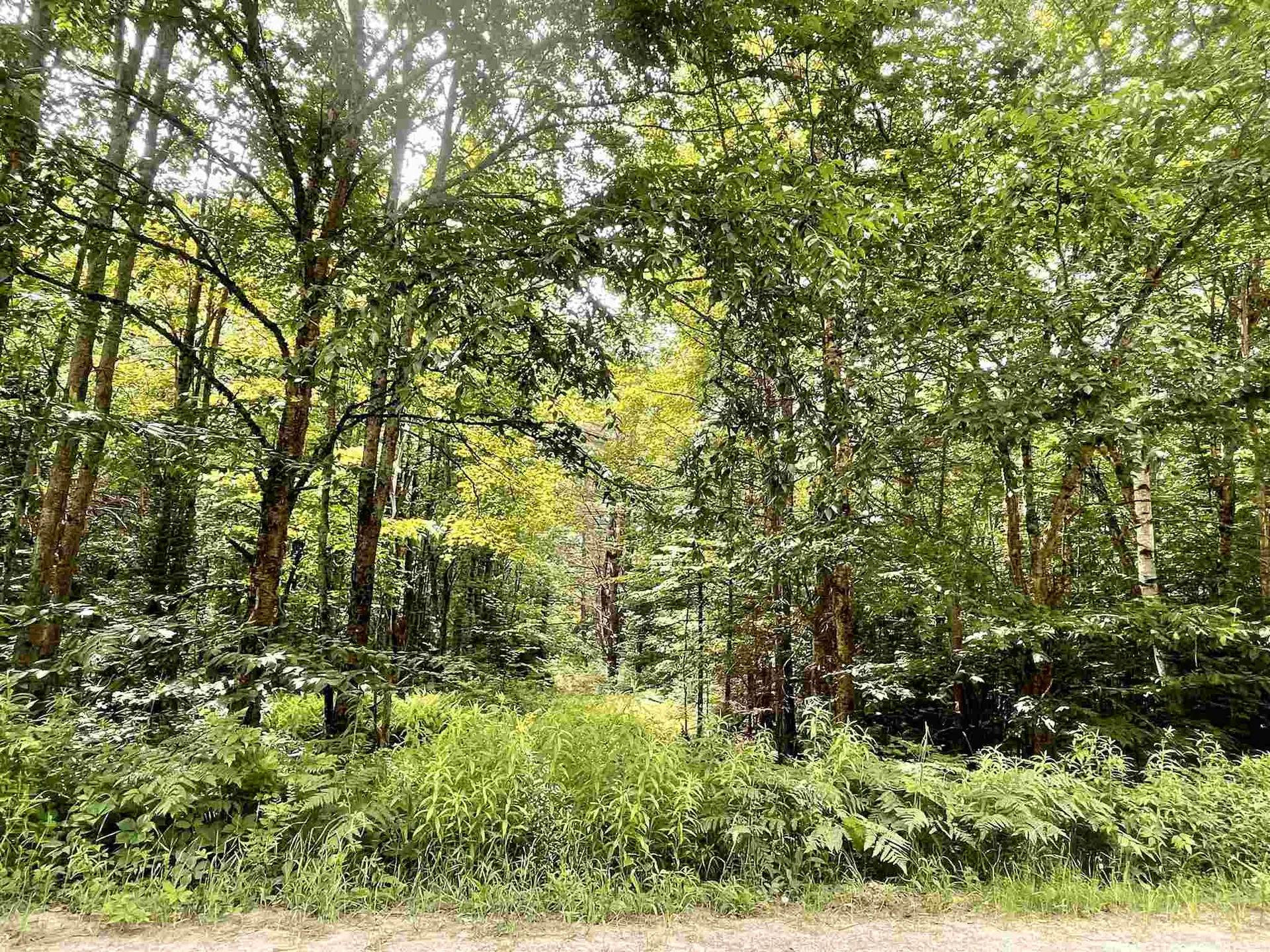 77 Berkshire Road Lisbon NH 03585