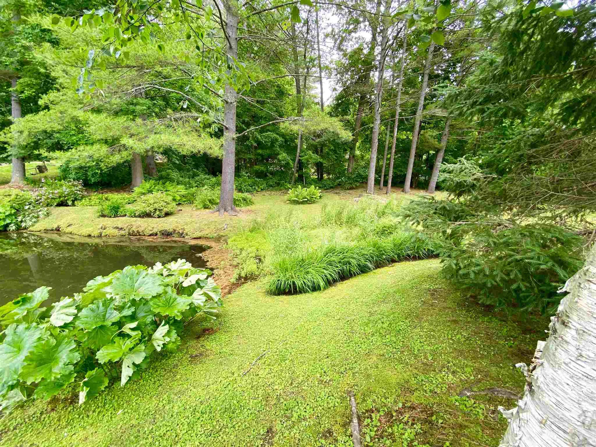 21 Golf Pond Extension Woodstock VT 05091