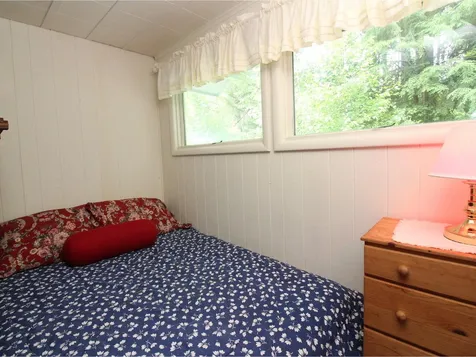 251 Alpine Meadows Stowe VT 05672