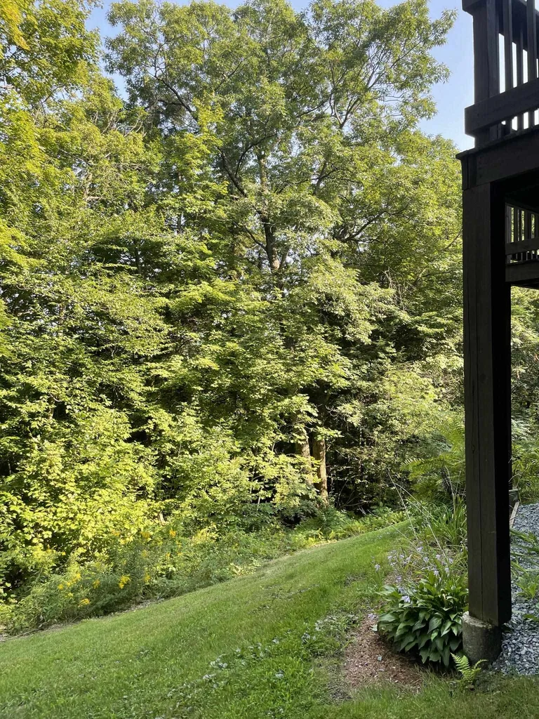 401 Old Quechee Road Hartford VT 05059