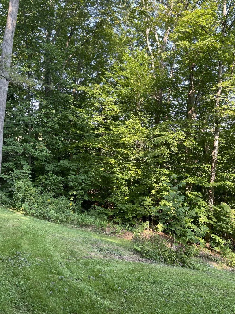 401 Old Quechee Road Hartford VT 05059