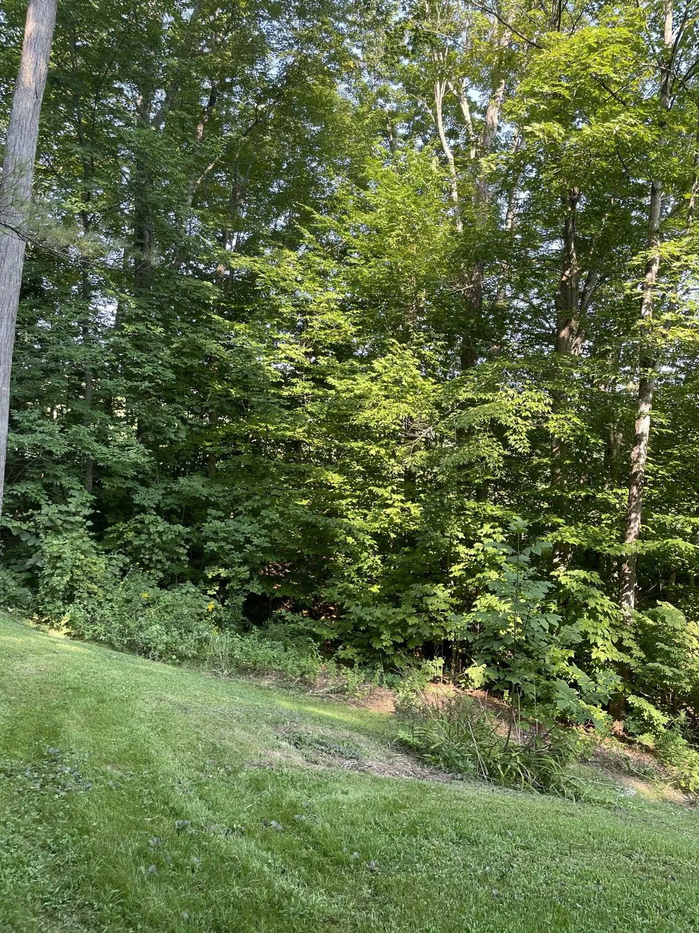 401 Old Quechee Road Hartford VT 05059