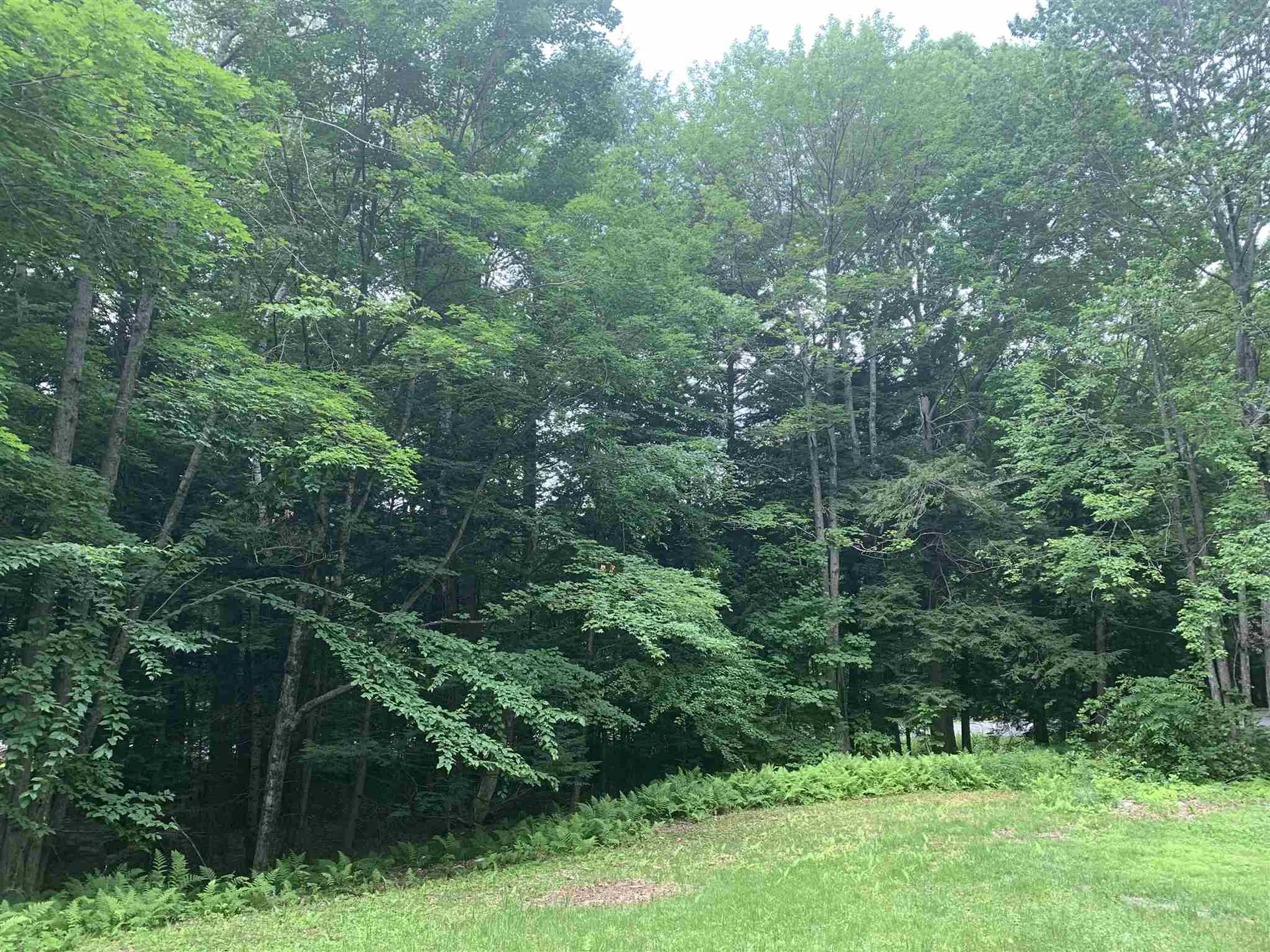 48 Longridge Drive Gilford NH 03249