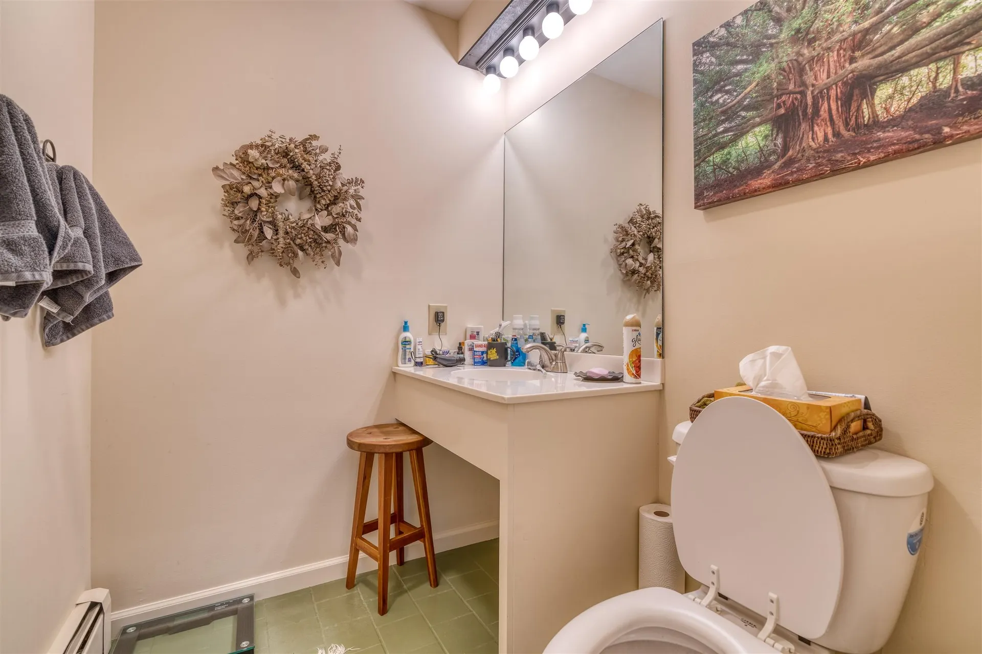 166 N Blake Hill Road Woodstock VT 05091