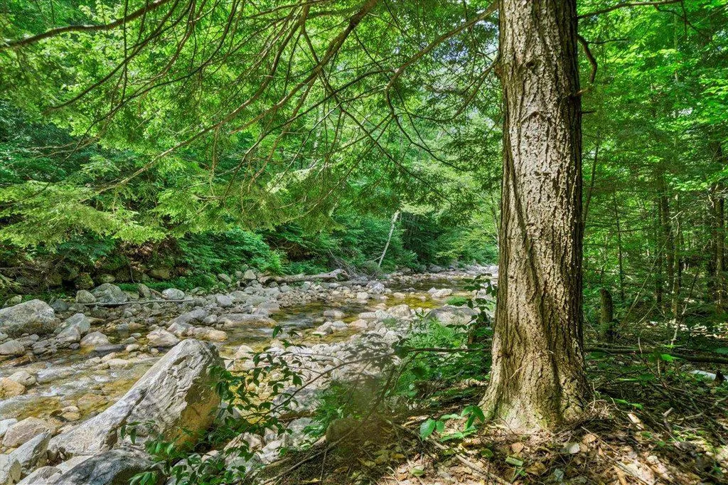 1640 Kelly Stand Road Sunderland VT 05250
