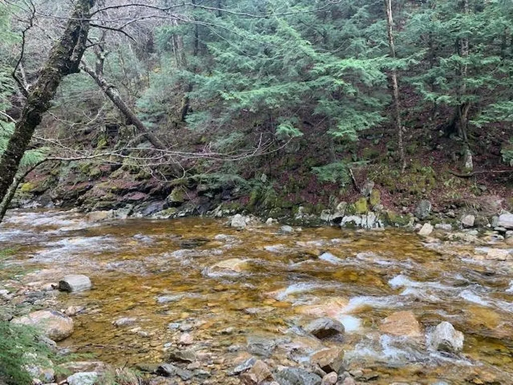 1640 Kelly Stand Road Sunderland VT 05250