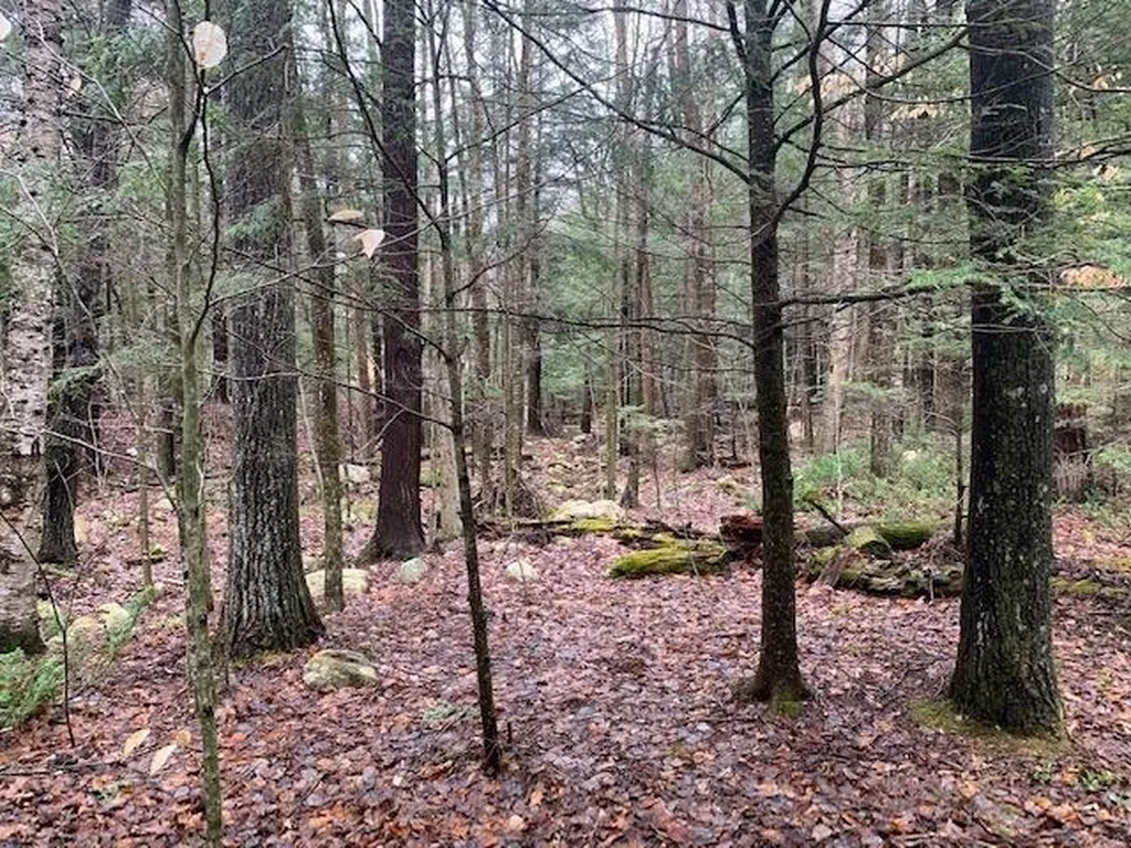 1640 Kelly Stand Road Sunderland VT 05250