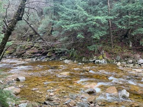 1640 Kelly Stand Road Sunderland VT 05250