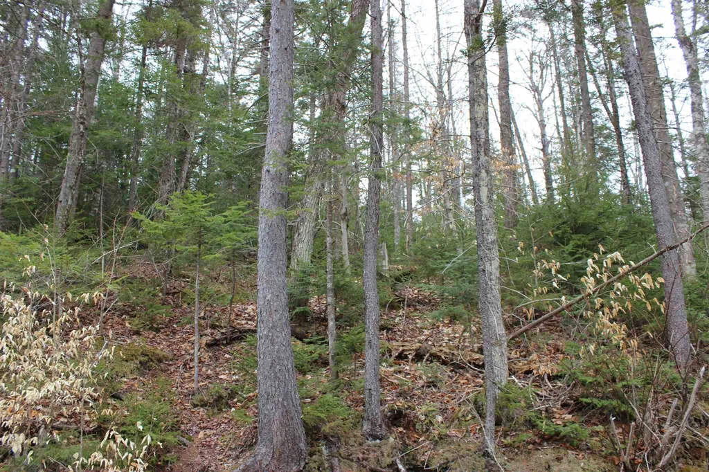 0 Territory Road Topsham VT 05076