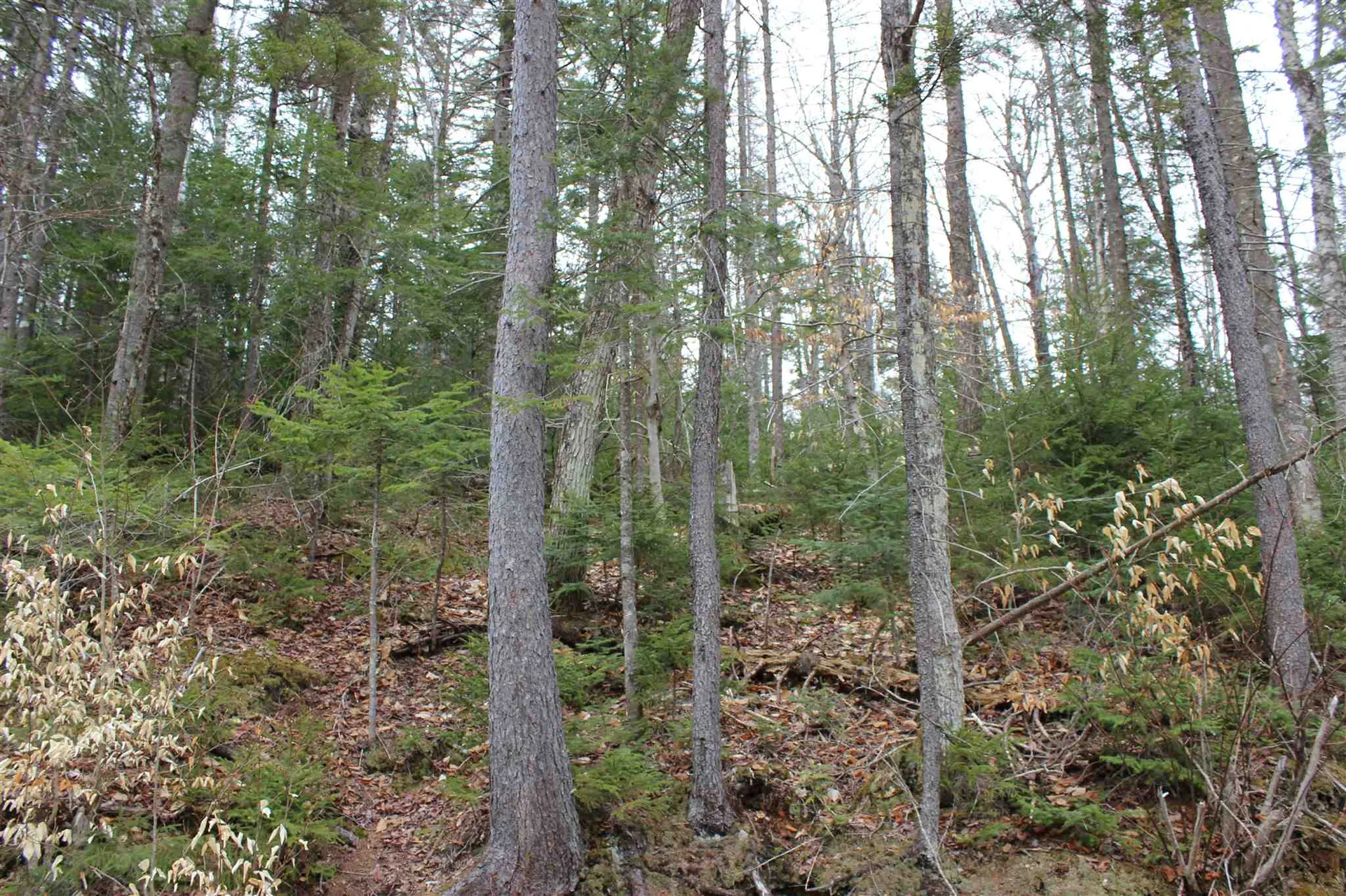 0 Territory Road Topsham VT 05076