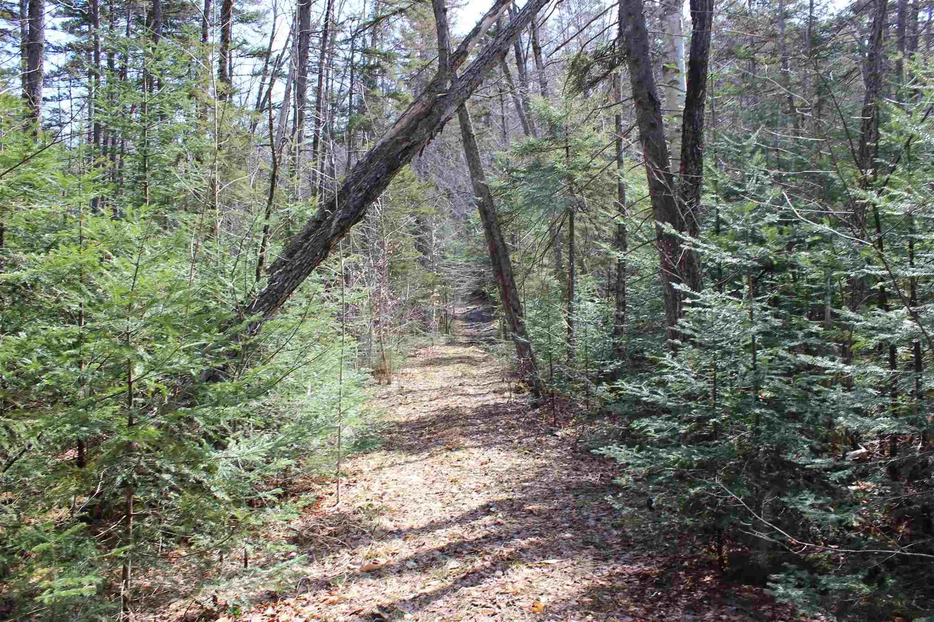 0 Territory Road Topsham VT 05076