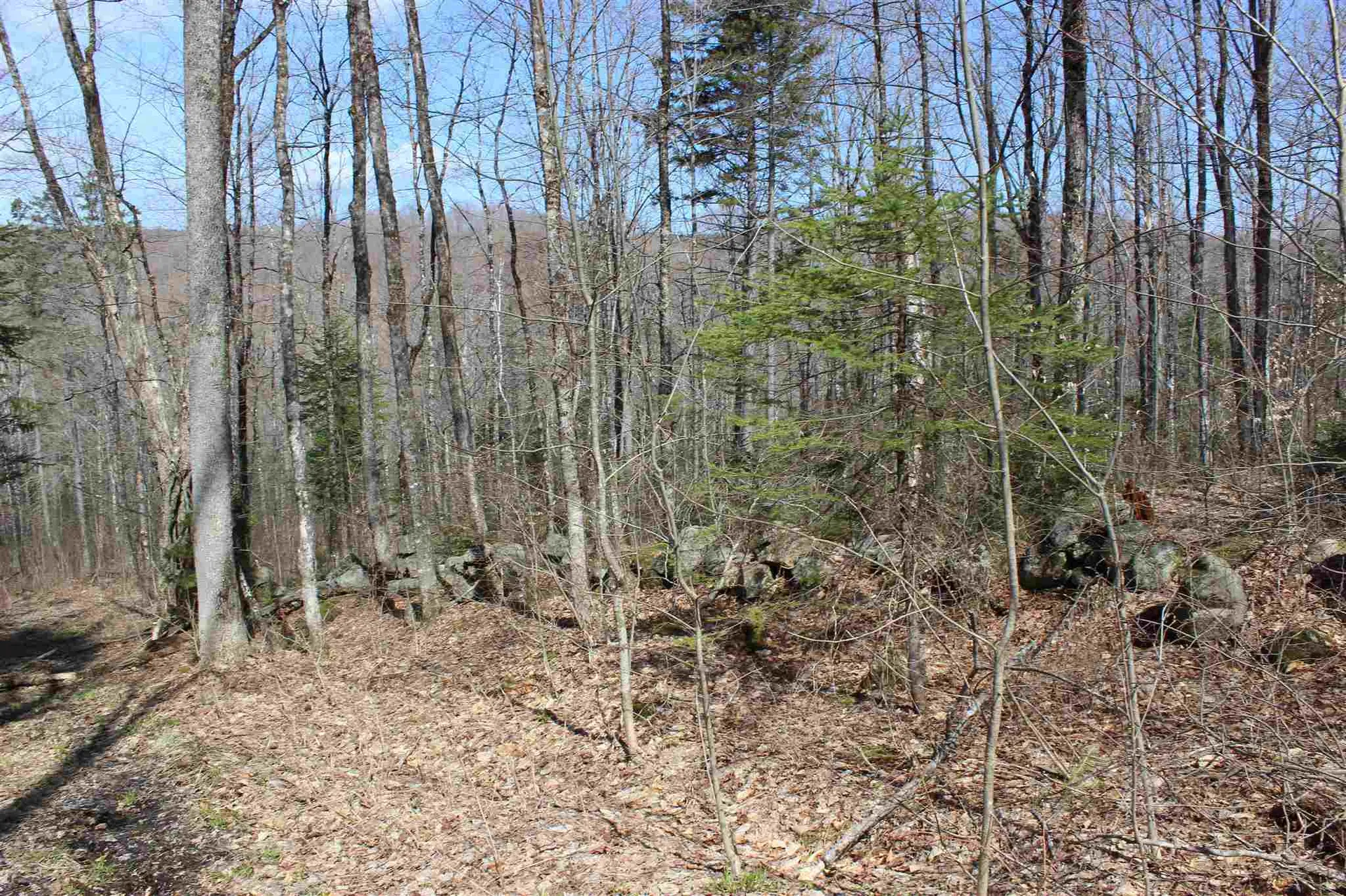 0 Territory Road Topsham VT 05076