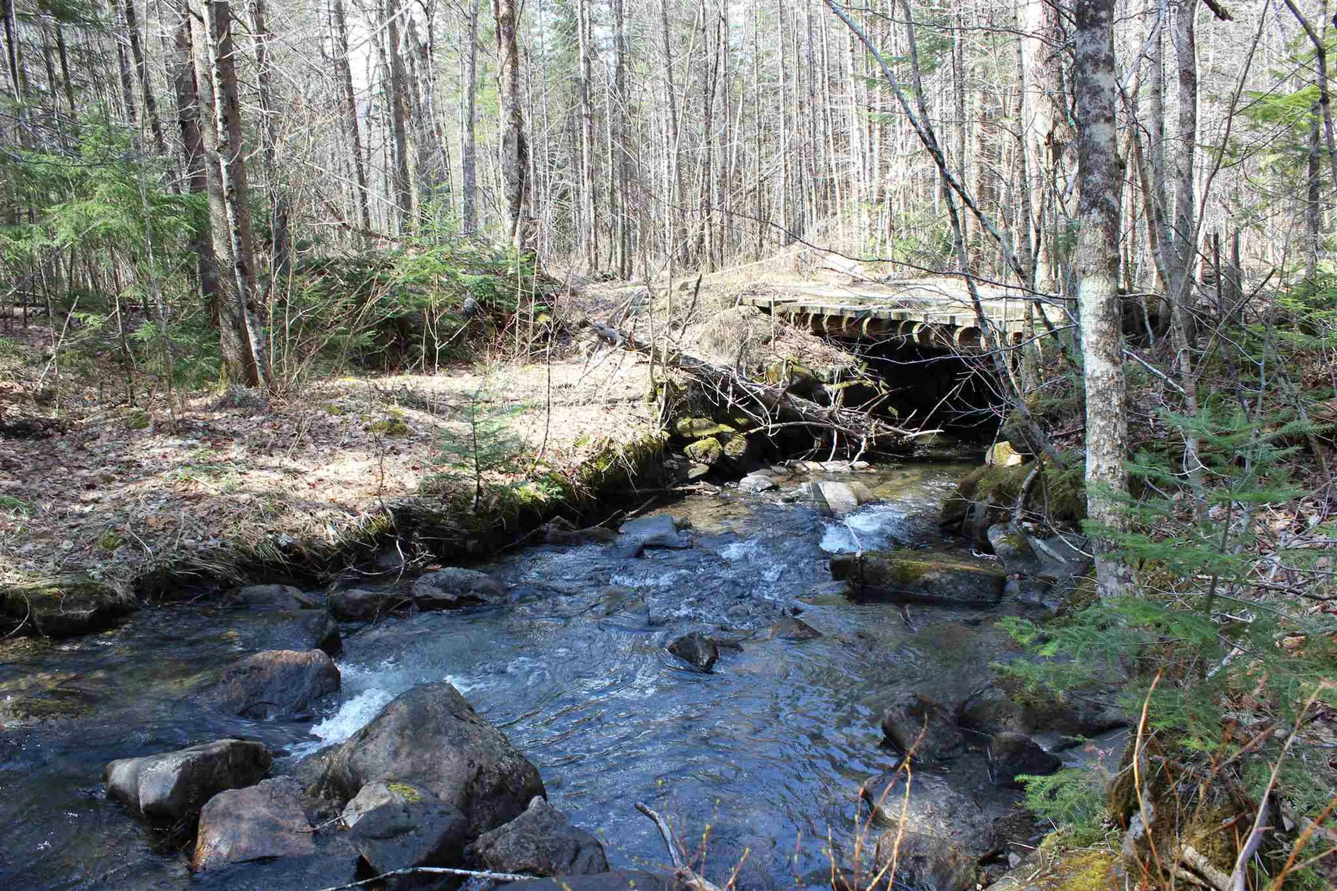 0 Territory Road Topsham VT 05076
