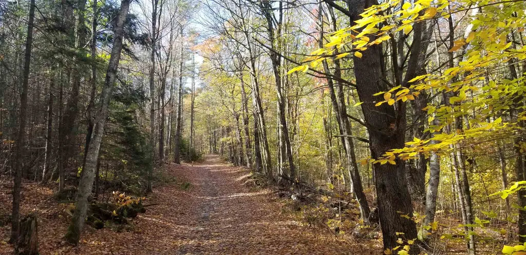 746 Kidder Hood Road West Fairlee VT 05045