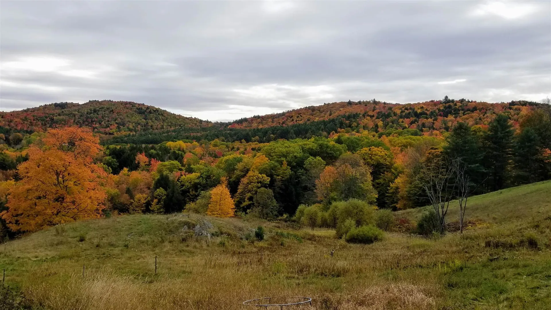 746 Kidder Hood Road West Fairlee VT 05045