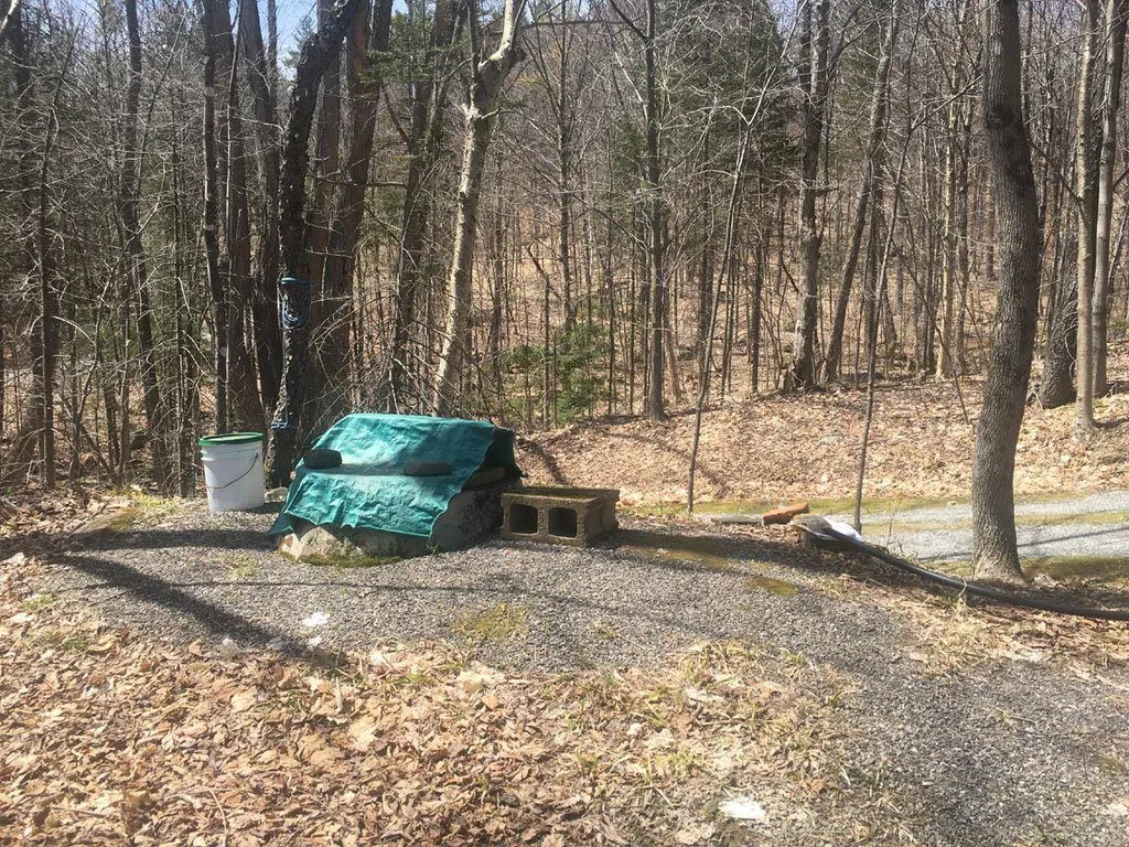 70 Blueberry Hill Road Grafton NH 03240