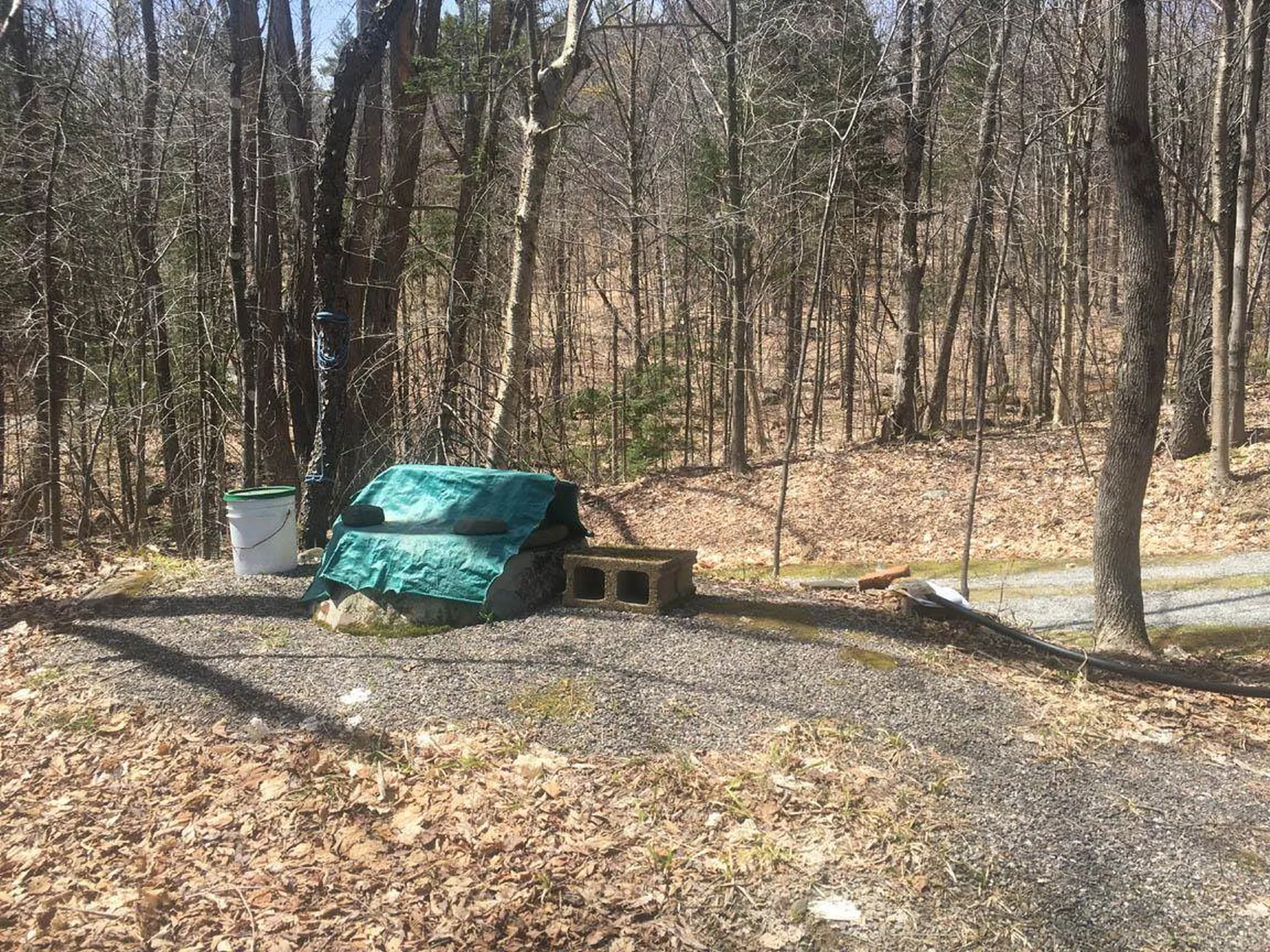 70 Blueberry Hill Road Grafton NH 03240