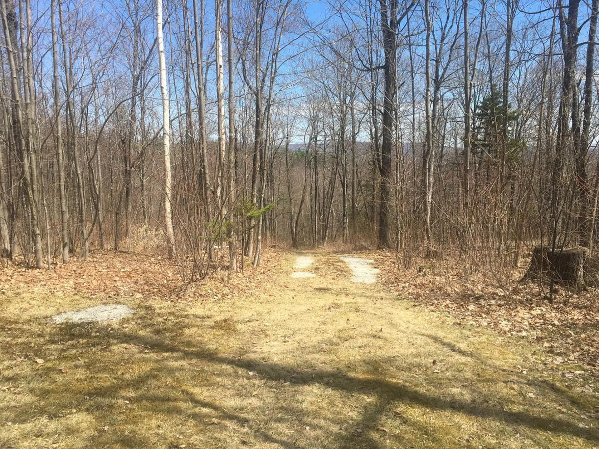 70 Blueberry Hill Road Grafton NH 03240