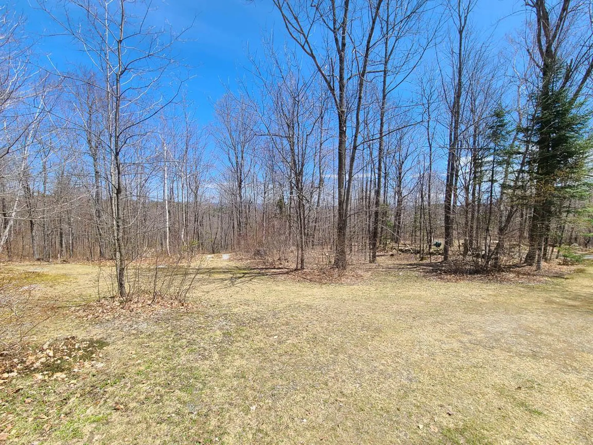 70 Blueberry Hill Road Grafton NH 03240