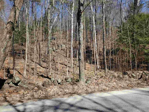 Lot 1 Old Post Road Newbury NH 03255