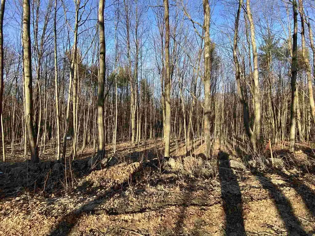 Lot 15-8 Raccoon Hill Road Salisbury NH 03268