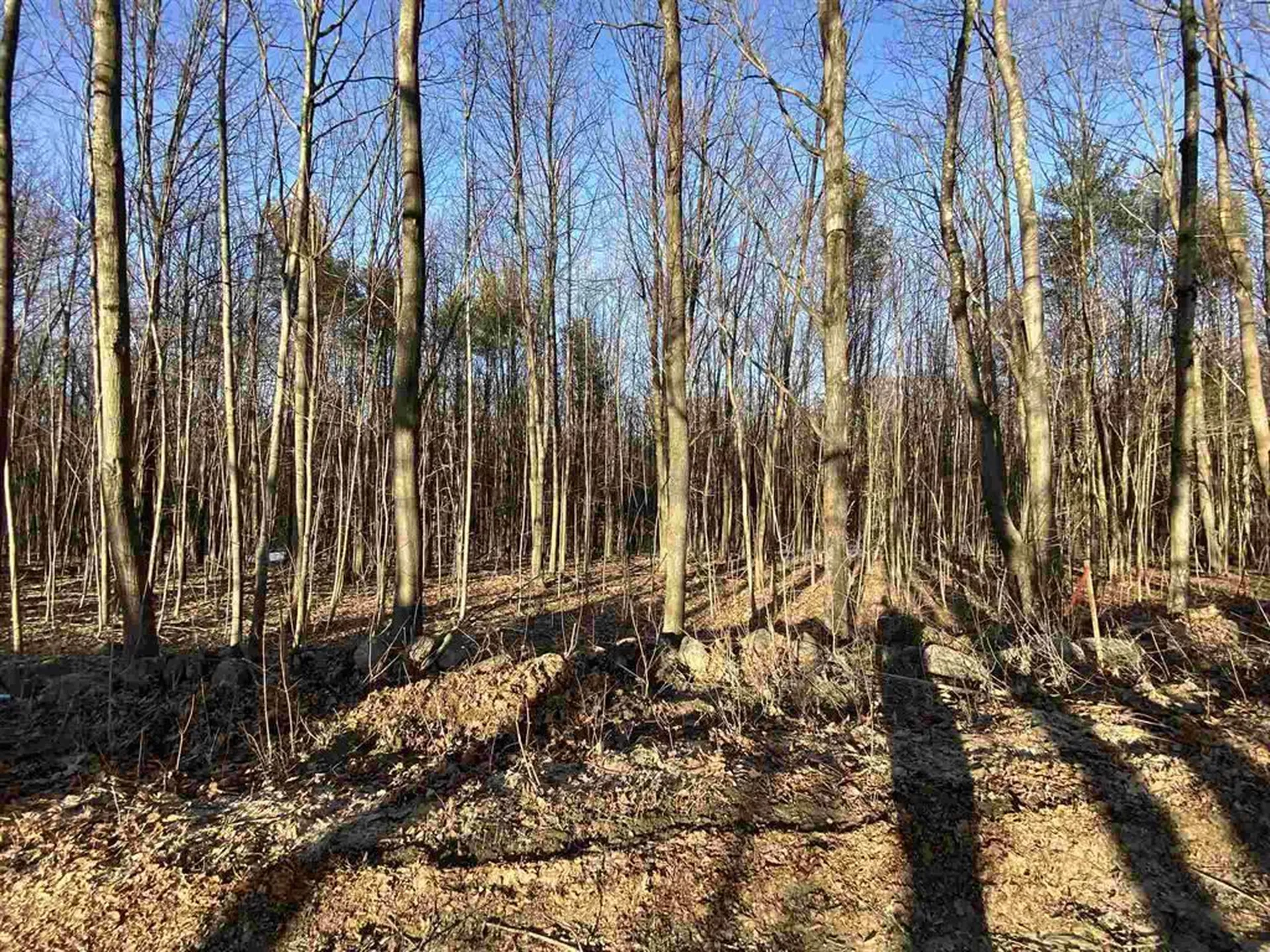 Lot 15-8 Raccoon Hill Road Salisbury NH 03268