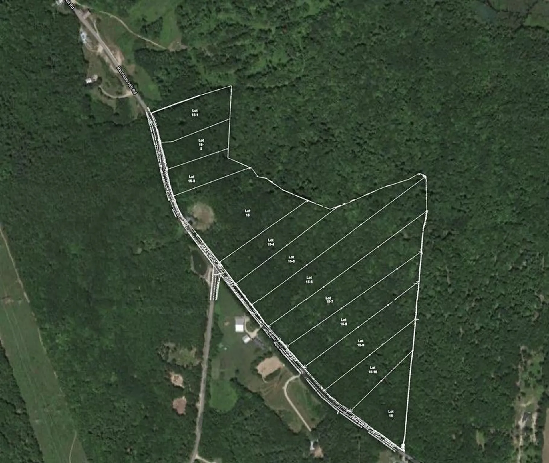 Lot 15-8 Raccoon Hill Road Salisbury NH 03268