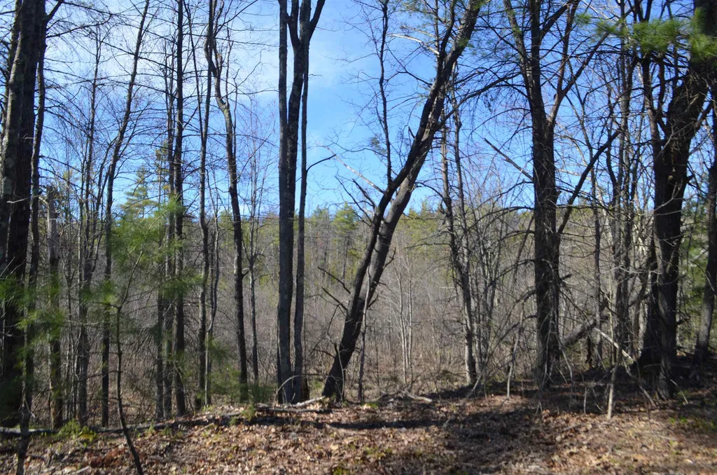 000 Clement Hill Road Hopkinton NH 03229