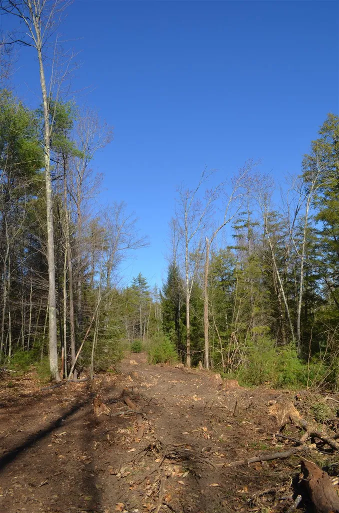 000 Clement Hill Road Hopkinton NH 03229