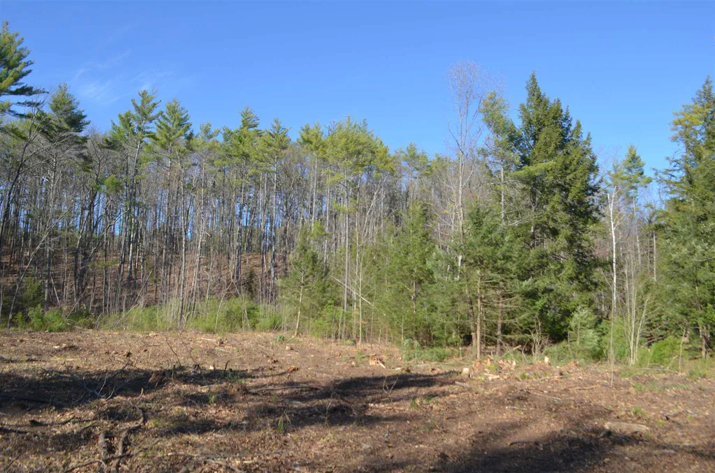 000 Clement Hill Road Hopkinton NH 03229
