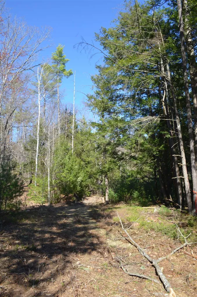 000 Clement Hill Road Hopkinton NH 03229