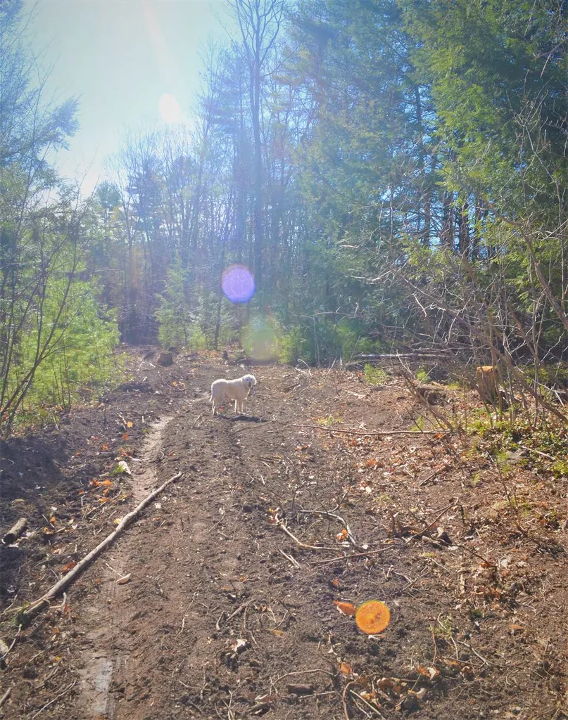 000 Clement Hill Road Hopkinton NH 03229