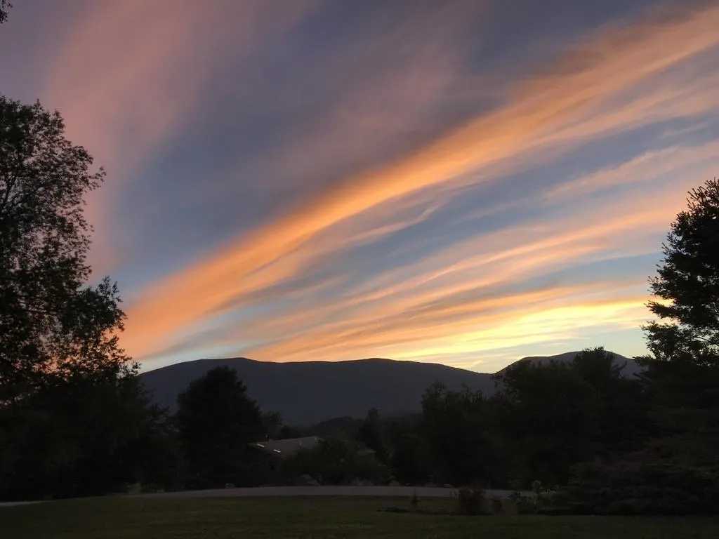 103-11 Vaughn Farm Road Manchester VT 05255