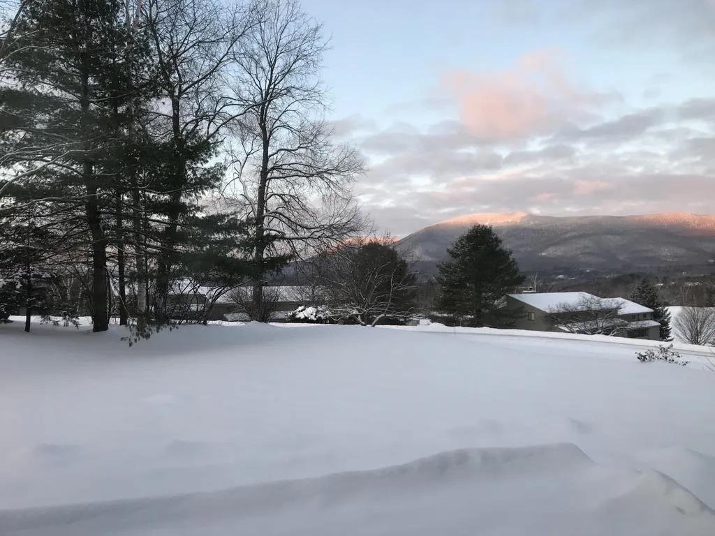 103-11 Vaughn Farm Road Manchester VT 05255